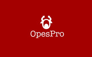 构建高效FOF投资管理系统 策略、技术与风险管理